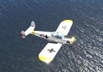 FSX/P3D ERCO Ercoupe 415C 